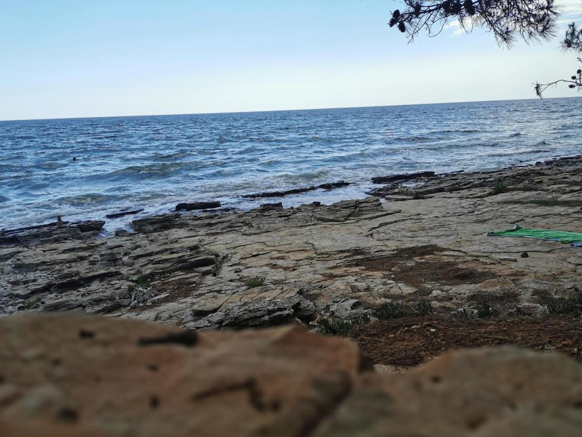 Resort Zatisje Savudrija Bagian luar foto