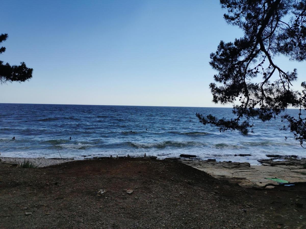 Resort Zatisje Savudrija Bagian luar foto